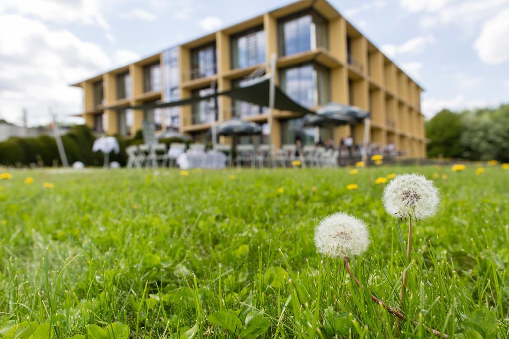 Rugs Hotel Am Schlosspark Lichtenwalde Exterior photo